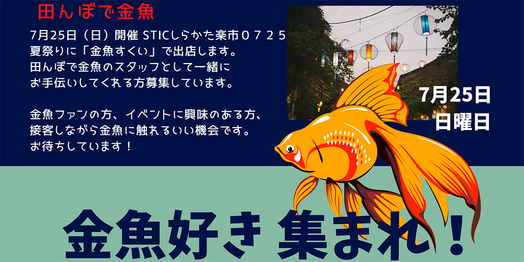 夏祭りでの金魚すくいのお手伝い募集！！【田んぼで金魚】7月22日（木）締切