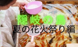 隠岐の島夏の花火大会での金魚すくいのお手伝い募集！！【田んぼで金魚】