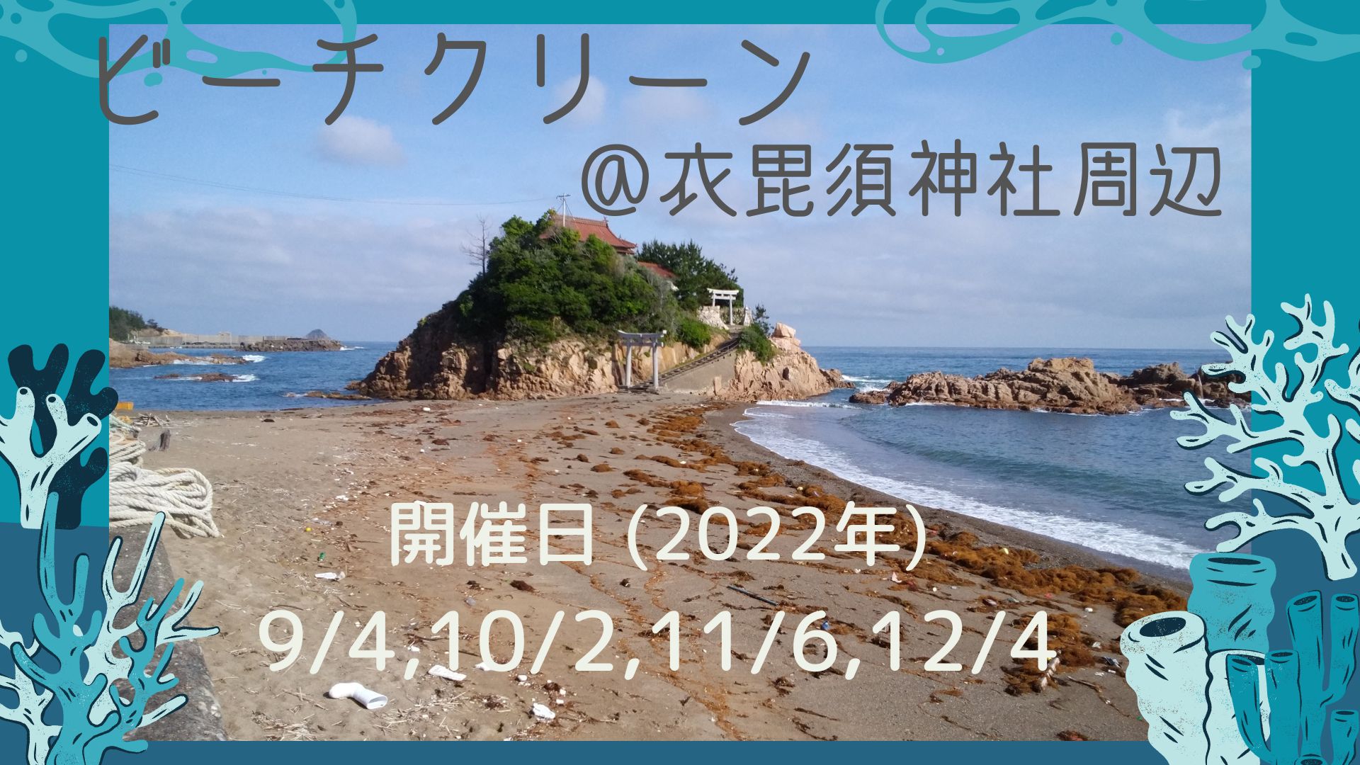 オリジナルビーチボーイズ 流木 オリジナル・モノ・ミックス<2001年最新デジタル・リ ペット・サウンズ その他