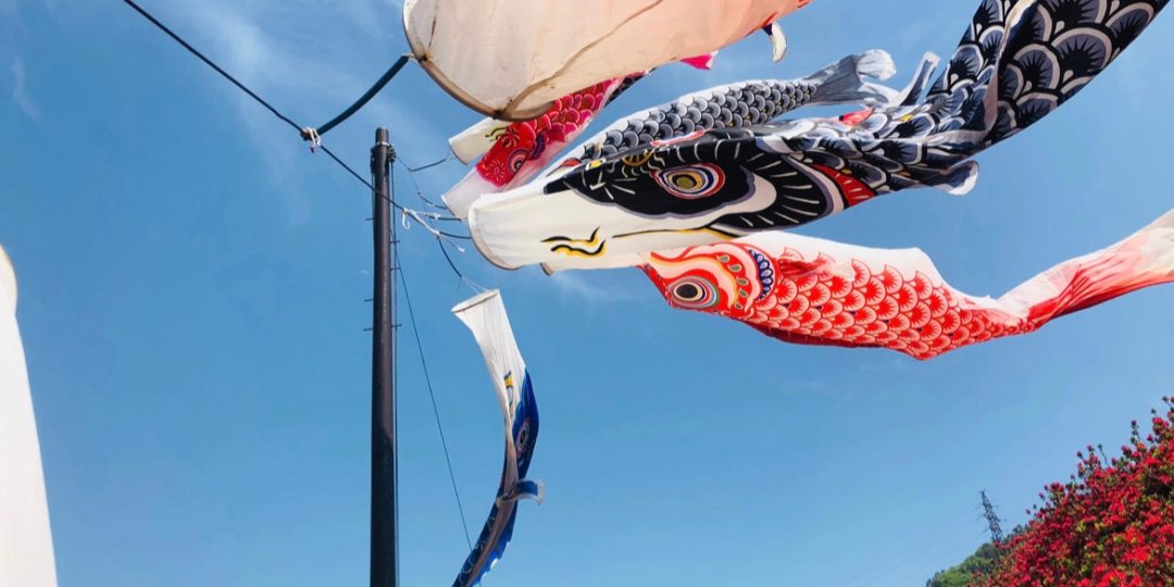 大きなこいのぼり大作戦！〜津和野・麓耕の景色を作ろう！〜 ｜しまっ