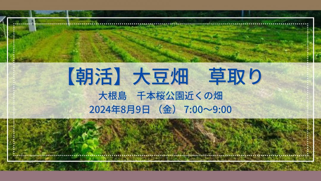 【みんなで朝活】オゴノリング農場「大豆畑の草取り隊」募集！