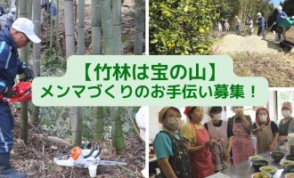 【竹林は宝の山】大田市・長久竹の子族のメンマづくりのお手伝い募集！