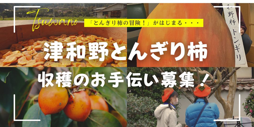 「津和野とんぎり柿」収穫のお手伝い募集！