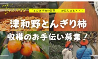 「津和野とんぎり柿」収穫のお手伝い募集！