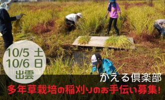 今年も「多年草栽培の稲刈り」のお手伝い募集！