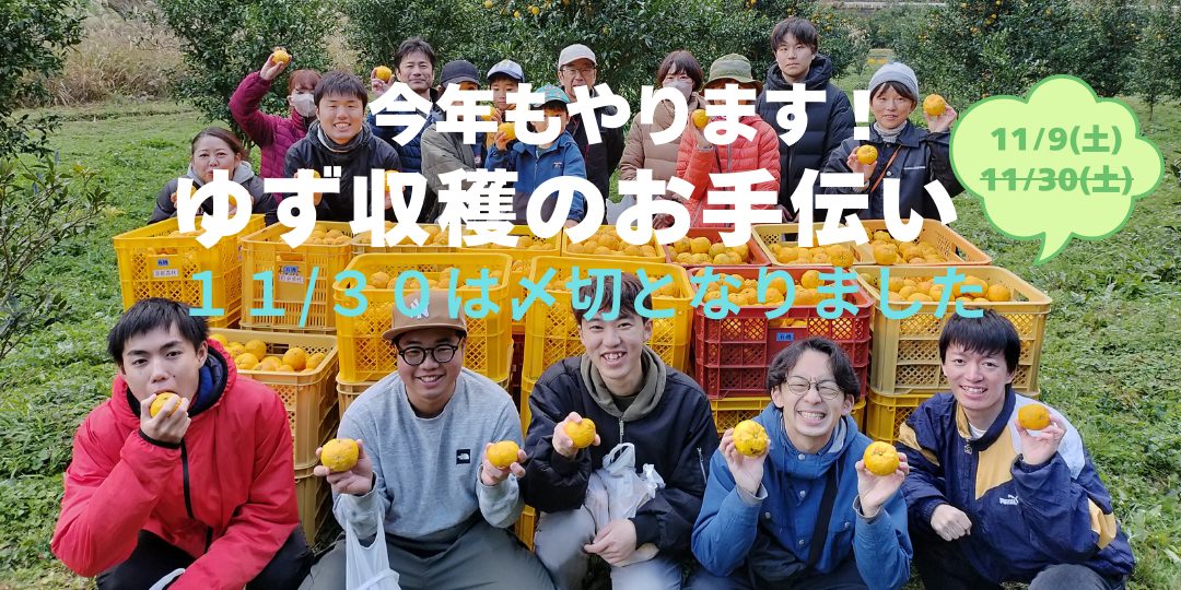 ゆず収穫のお手伝い2024】今年もやります！「柚子のまち」益田市美都町