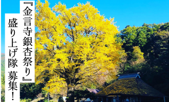 紅葉の名所！「金言寺銀杏祭り」盛り上げ隊を募集【11/2・3開催】