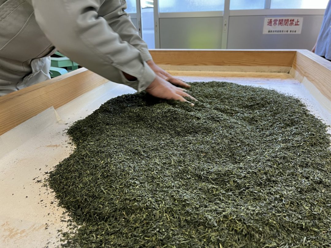天空の茶畑で紅茶用茶摘みのお手伝いしていただけませんか?@雲南市