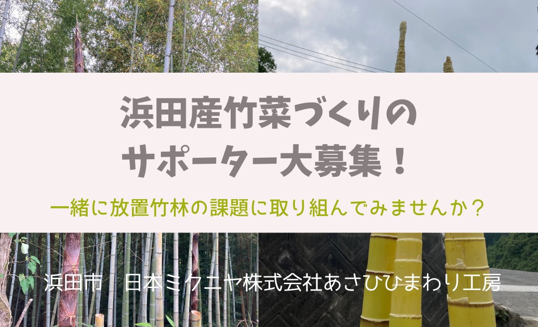浜田産竹菜づくりのサポーター大募集!一緒に放置竹林の課題に取り組んでみませんか?