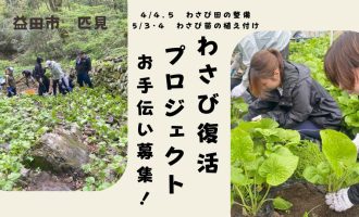 【今年も開催！】益田市匹見『わさび復活プロジェクト！』　お手伝い募集！（各日７名募集！）