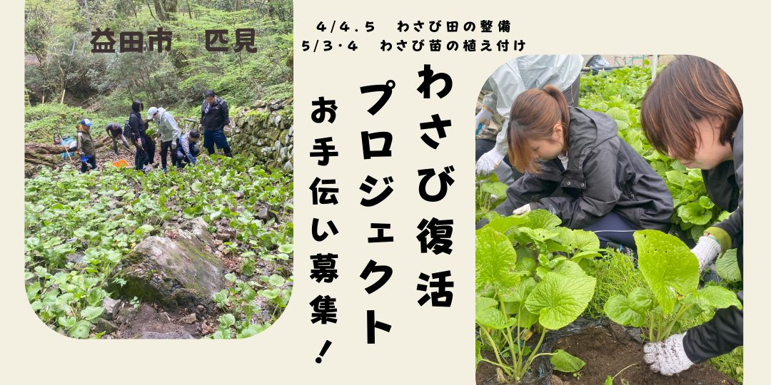 【今年も開催！】益田市匹見『わさび復活プロジェクト！』　お手伝い募集！（各日７名募集！）