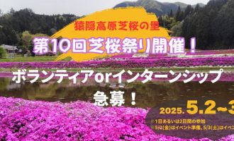 第10回芝桜祭りの運営サポーターを募集します！（前日準備＆当日運営）