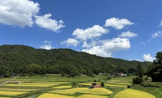 【5/17開催！】地域のみんなと汗をかきませんか？第１回比田の草刈り応援隊大募集！