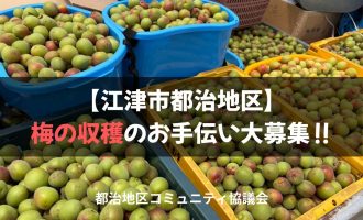 【江津市都治地区】梅の収穫のお手伝い大募集!!