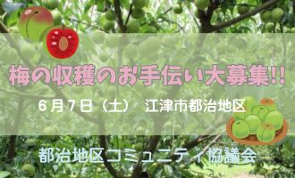 【江津市都治地区】梅の収穫のお手伝い大募集!!