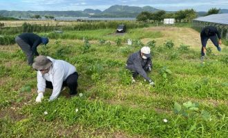 ＼清々しい一日のスタートに！／朝活で自然とつながる「大豆畑の草取り隊」募集！