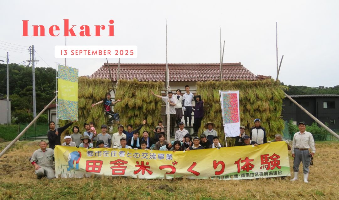 【9/13開催!】阿用の『田舎米づくり体験』サポーター募集!