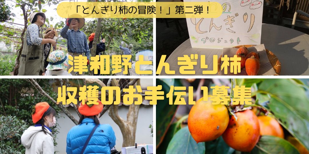 「とんぎり柿の冒険!第二弾」10/19に開催決定!参加者を募集します