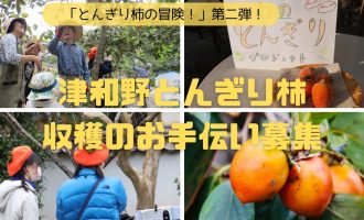 「とんぎり柿の冒険！第二弾」10/19に開催決定！参加者を募集します