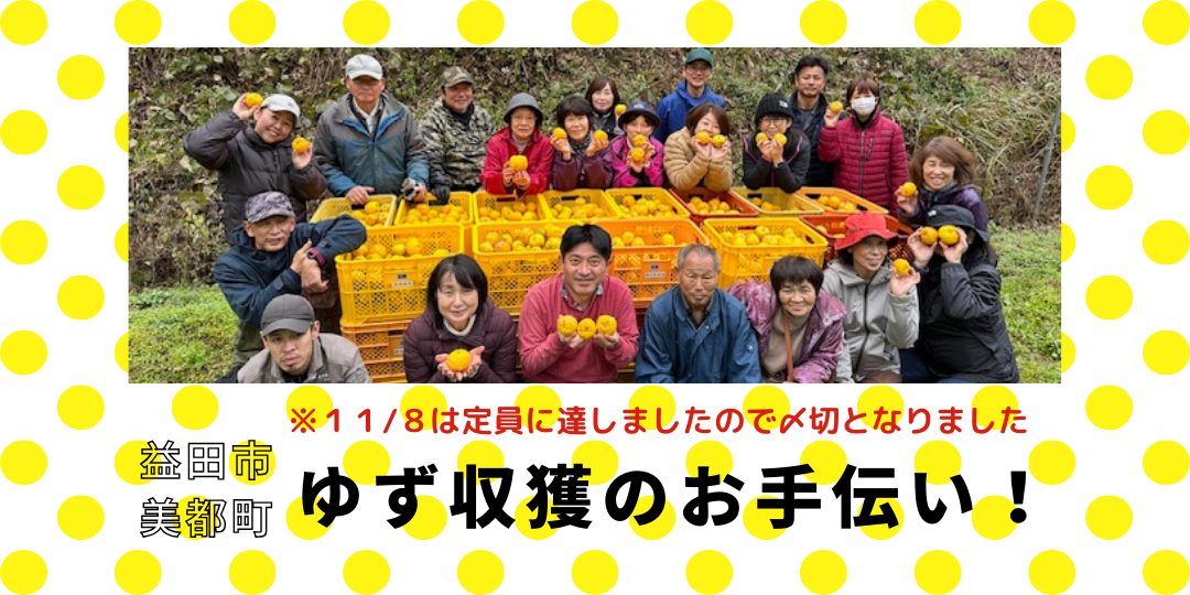 ゆゆまる産業ページ 初回限定〈工場直送〉まるごと柚子BOX[送料無料] | 柚子屋本店ONLINE STORE