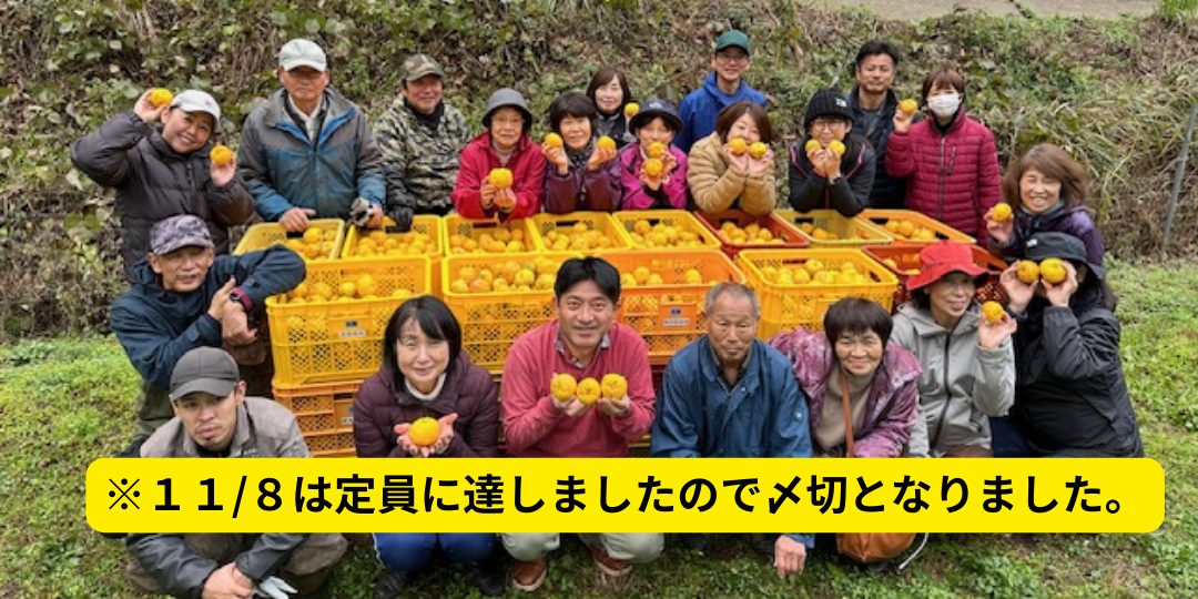 【今年もやります！！】益田市美都町で『ゆず収穫』お手伝い募集！