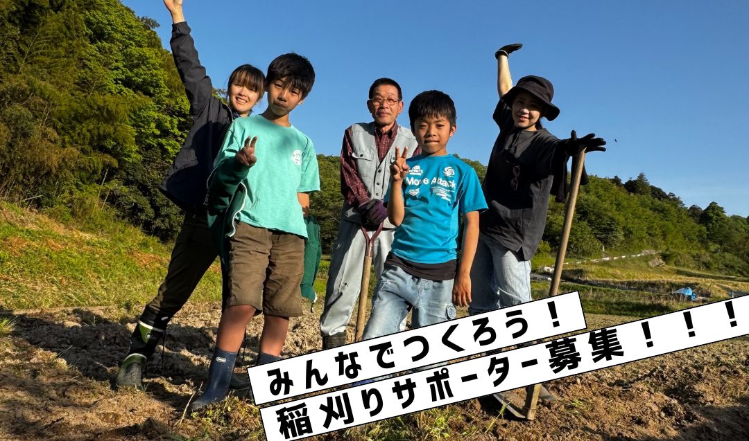 【10/4 雲南で米づくりをしよう！】稲刈りサポーター募集！
