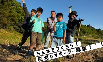 【10/4 雲南で米づくりをしよう！】稲刈りサポーター募集！