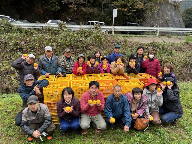 【今年もやります！！】益田市美都町で『ゆず収穫』お手伝い募集！