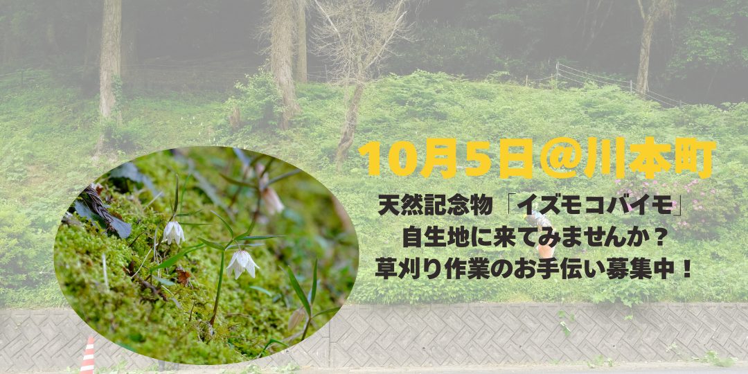 【10/5】天然記念物「イズモコバイモ」自生地で草刈り作業のお手伝い募集！