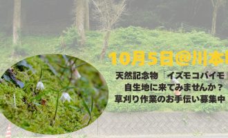 【10/5】天然記念物「イズモコバイモ」自生地で草刈り作業のお手伝い募集！