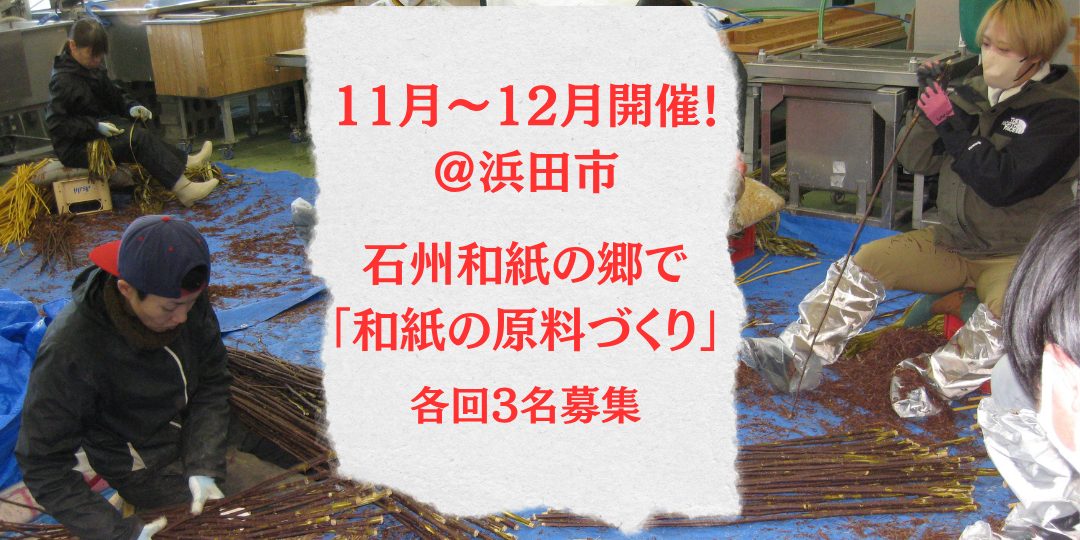 石州和紙の郷で和紙の原料づくり《楮皮剥ぎ体験とお手伝い募集》