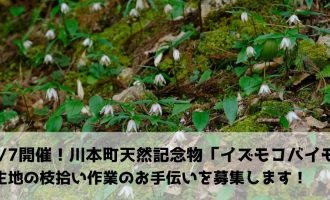 川本町イズモコバイモ自生地「枝拾い作業」のお手伝い募集【12/7開催】