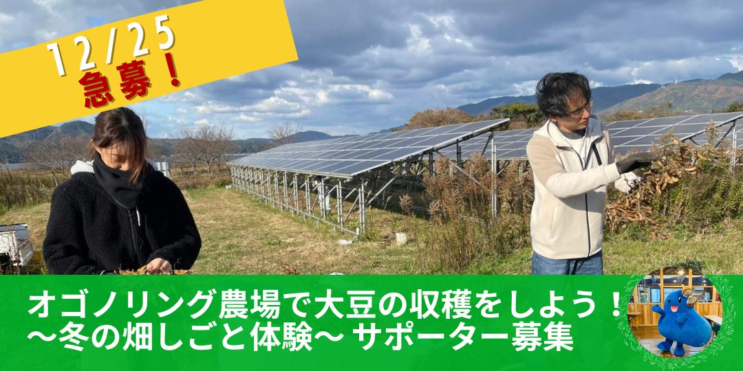 【急募！12/25開催】オゴノリング農場で大豆の収穫をしよう！～冬の畑しごと体験～
