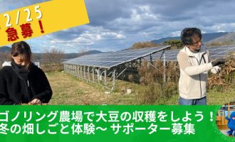 【急募！12/25開催】オゴノリング農場で大豆の収穫をしよう！～冬の畑しごと体験～