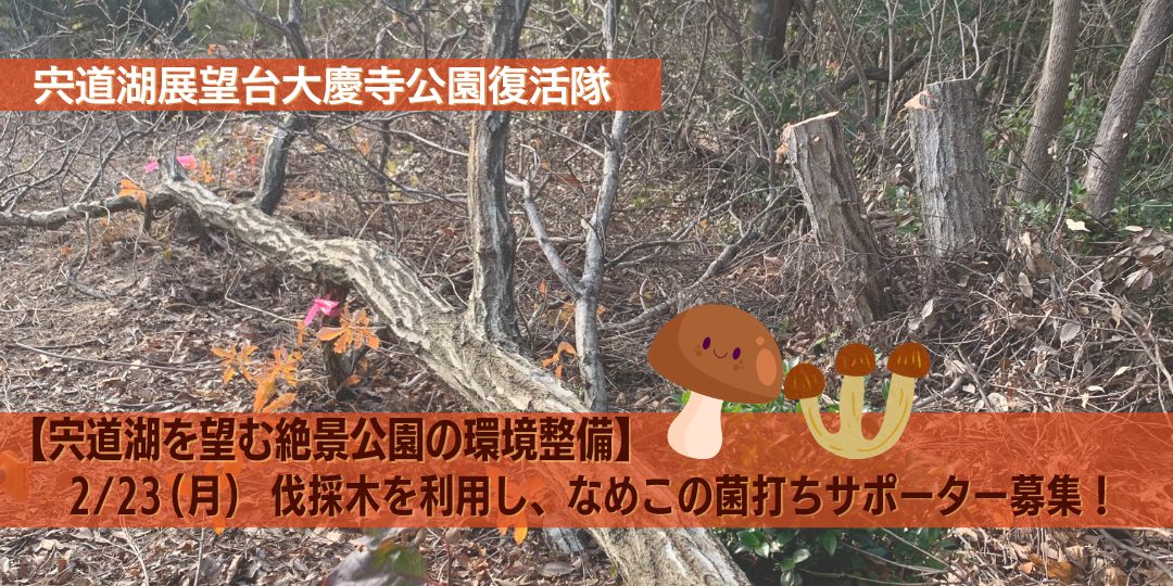 2/23（月・祝）【宍道湖を望む絶景公園の環境整備】伐採木を利用・なめこの菌打ちサポーター募集！