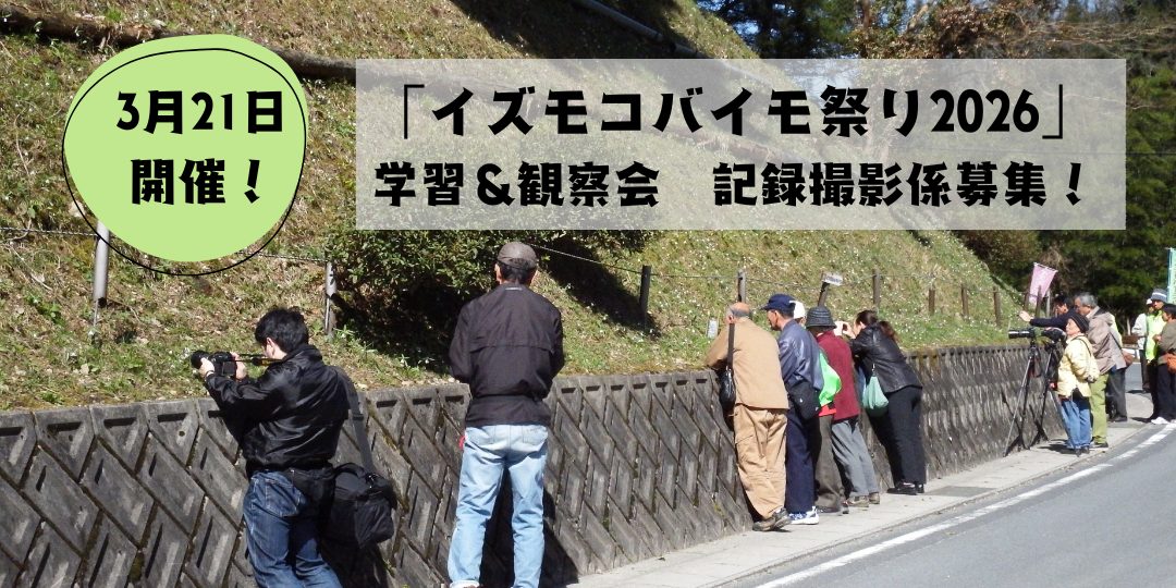 【3/21開催】植物＆写真好きさん注目！「イズモコバイモ祭2026 学習＆観察会」の“記録撮影”係募集