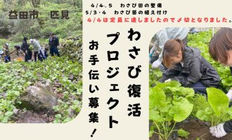 【今年も開催！】益田市匹見『わさび復活プロジェクト！』　お手伝い募集！（各日７名募集！）
