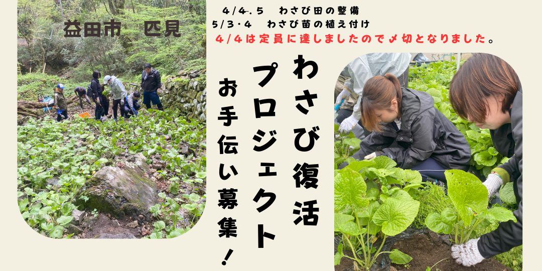 【今年も開催！】益田市匹見『わさび復活プロジェクト！』　お手伝い募集！（各日７名募集！）