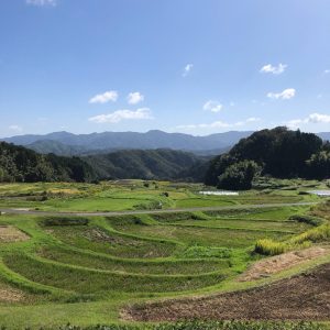 山王寺本郷棚田振興協議会