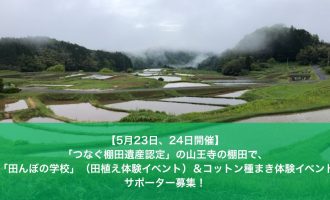 【5月23日、24日開催】「つなぐ棚田遺産認定」の山王寺の棚田で、「田んぼの学校」（田植え体験イベント）＆コットン種まき体験イベント サポーター募集！