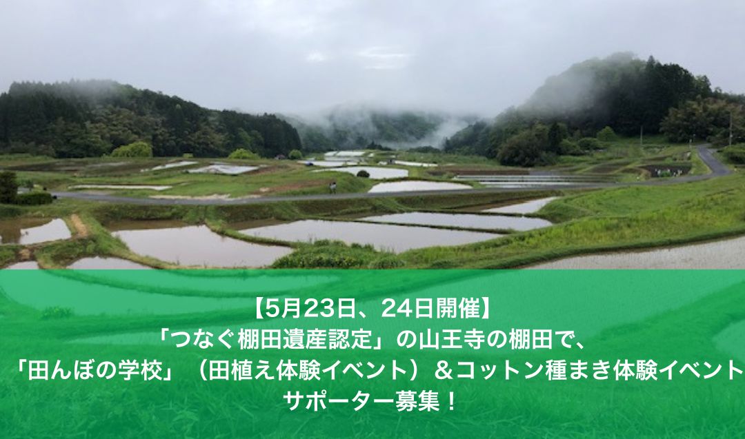【5月23日、24日開催】「つなぐ棚田遺産認定」の山王寺の棚田で、「田んぼの学校」（田植え体験イベント）＆コットン種まき体験イベント サポーター募集！