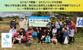 5/16,17開催！【オゴノリング大作戦】「飲んで守る湖と未来。飲むほど自然も人も豊かになる芋焼酎プロジェクト」～芋苗を植えよう～運営サポーター募集！