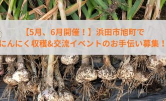 【5月、6月開催！】浜田市旭町でにんにく収穫&交流イベントのお手伝い募集！