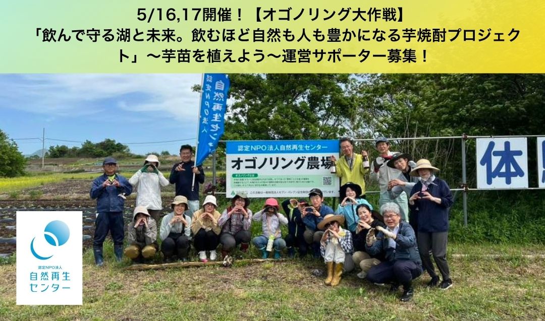 5/16,17開催！【オゴノリング大作戦】「飲んで守る湖と未来。飲むほど自然も人も豊かになる芋焼酎プロジェクト」～芋苗を植えよう～運営サポーター募集！