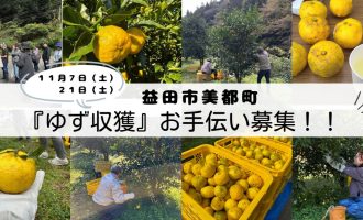 【毎年大好評！】益田市美都町で『ゆず収穫』お手伝い募集！