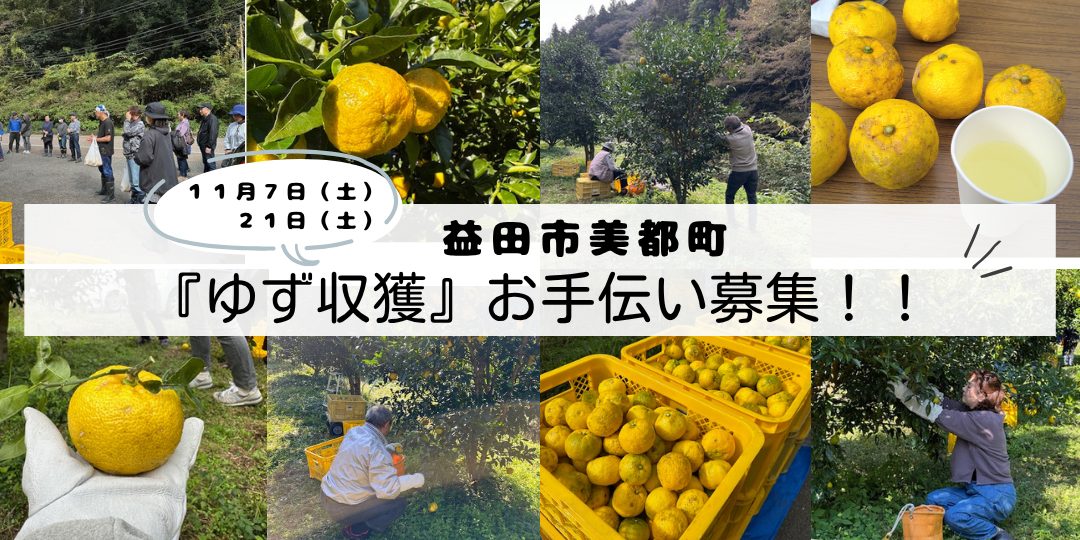 【毎年大好評！】益田市美都町で『ゆず収穫』お手伝い募集！