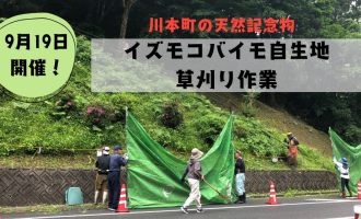 【9/19開催】川本町の天然記念物「イズモコバイモ」自生地で草刈り作業のお手伝い募集！