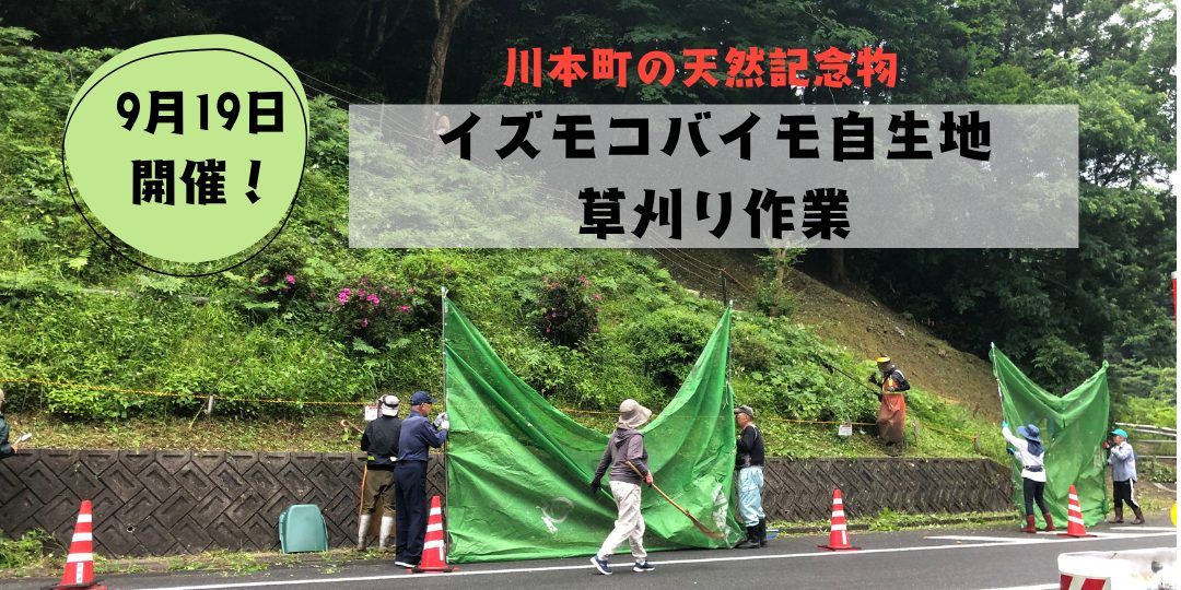【9/19開催】川本町の天然記念物「イズモコバイモ」自生地で草刈り作業のお手伝い募集！