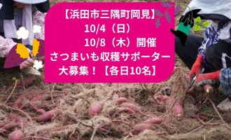 【10/4・8開催！】秋の味を収穫！さつま芋収穫サポーター大募集！