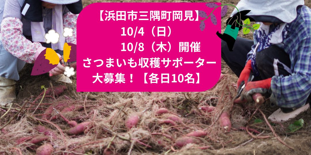 【10/4・8開催!】秋の味を収穫!さつま芋収穫サポーター大募集!